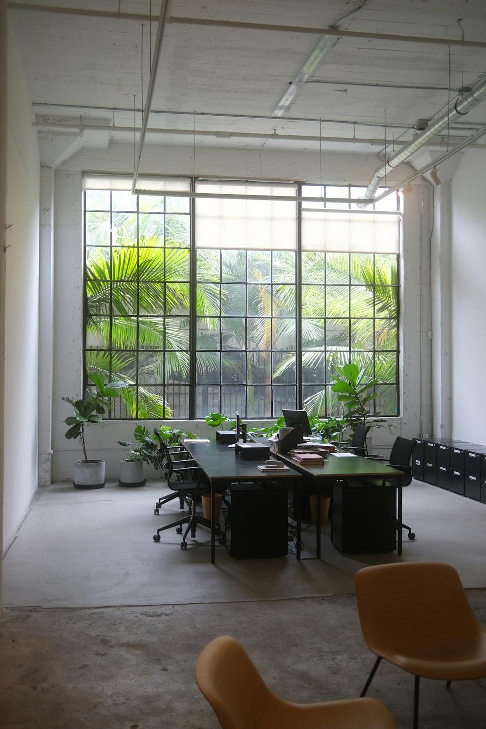 Biophilic Office Design