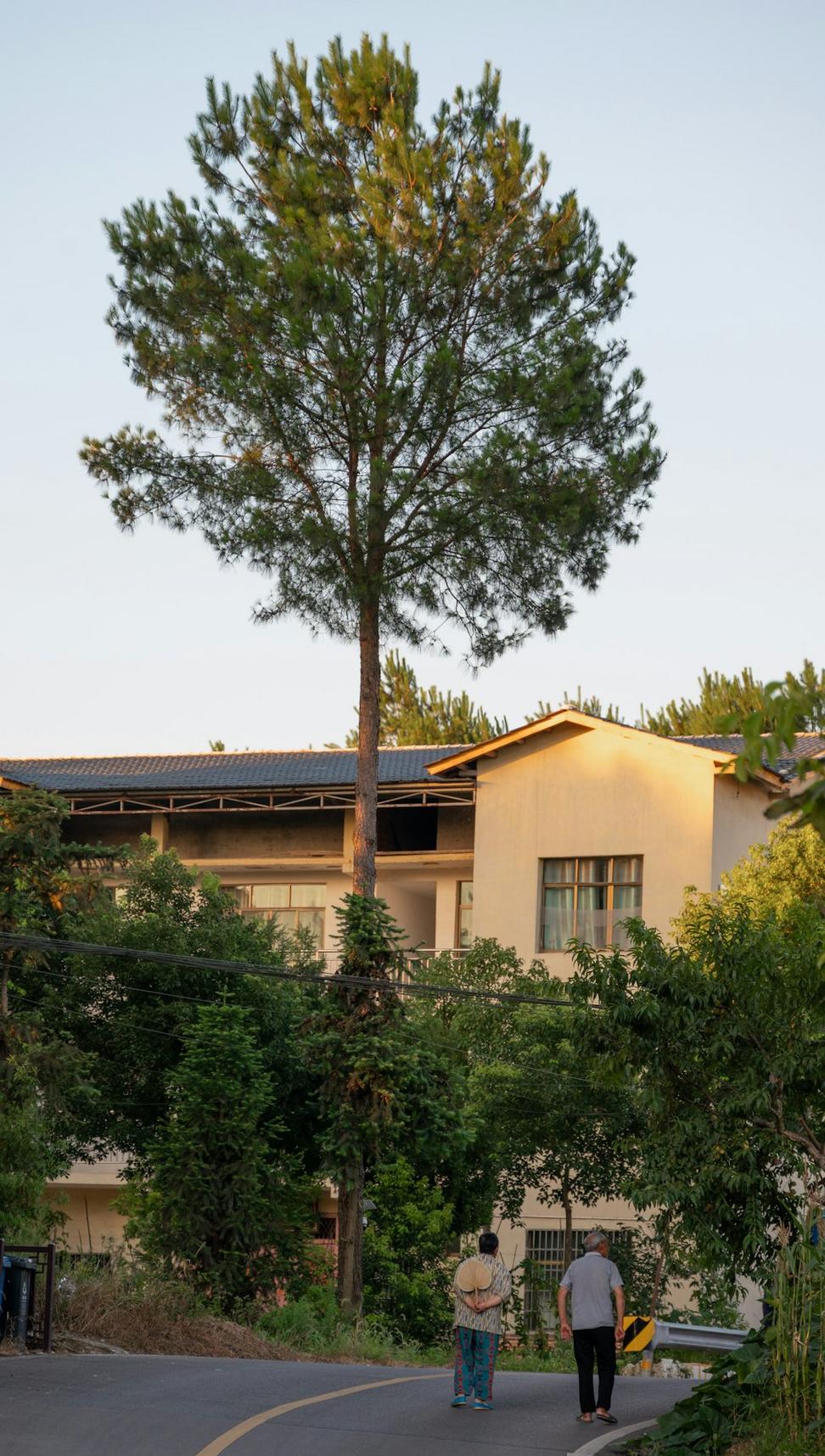 EcoVilla Residence