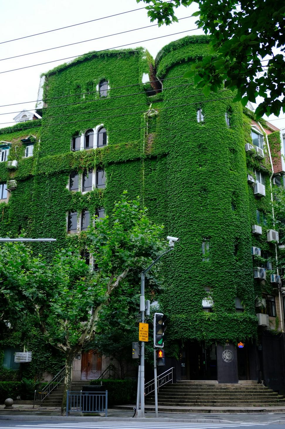 Green Certification