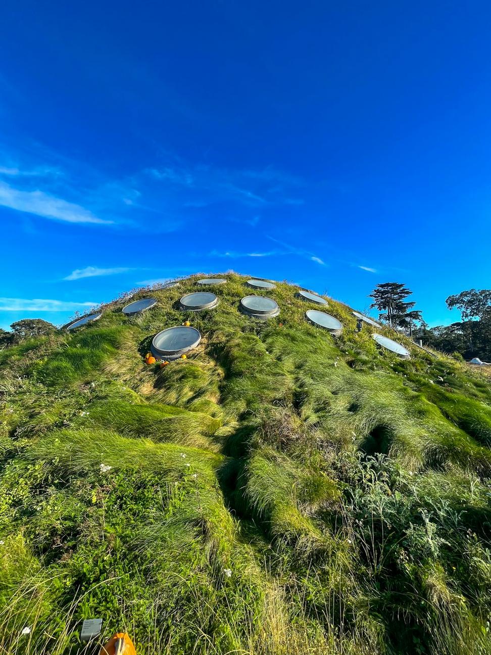 Sustainable Architecture Design